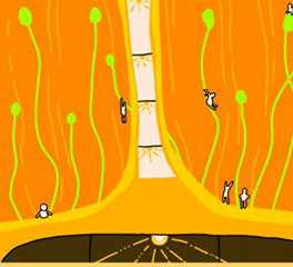 楊梓懿 插畫設(shè)計 本科預科