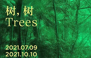 AIVA Guide | 高溫來襲，我們在美術(shù)館避暑，7月好展推薦